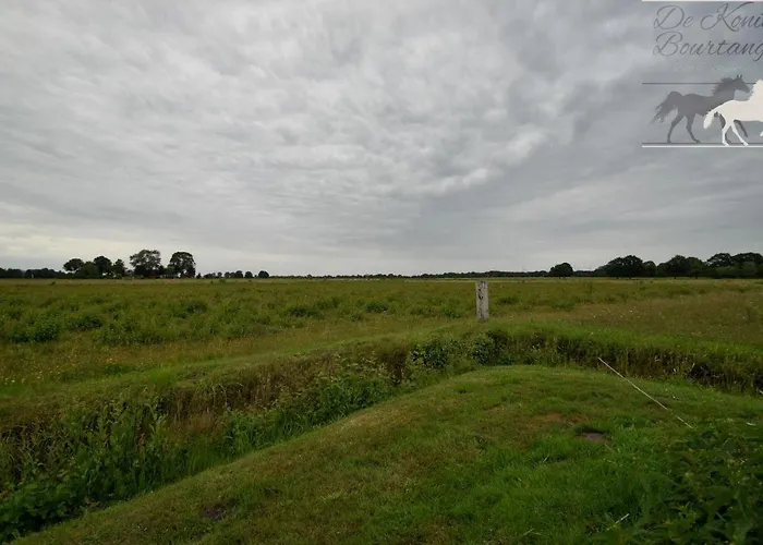 B&B De Konik Bourtange