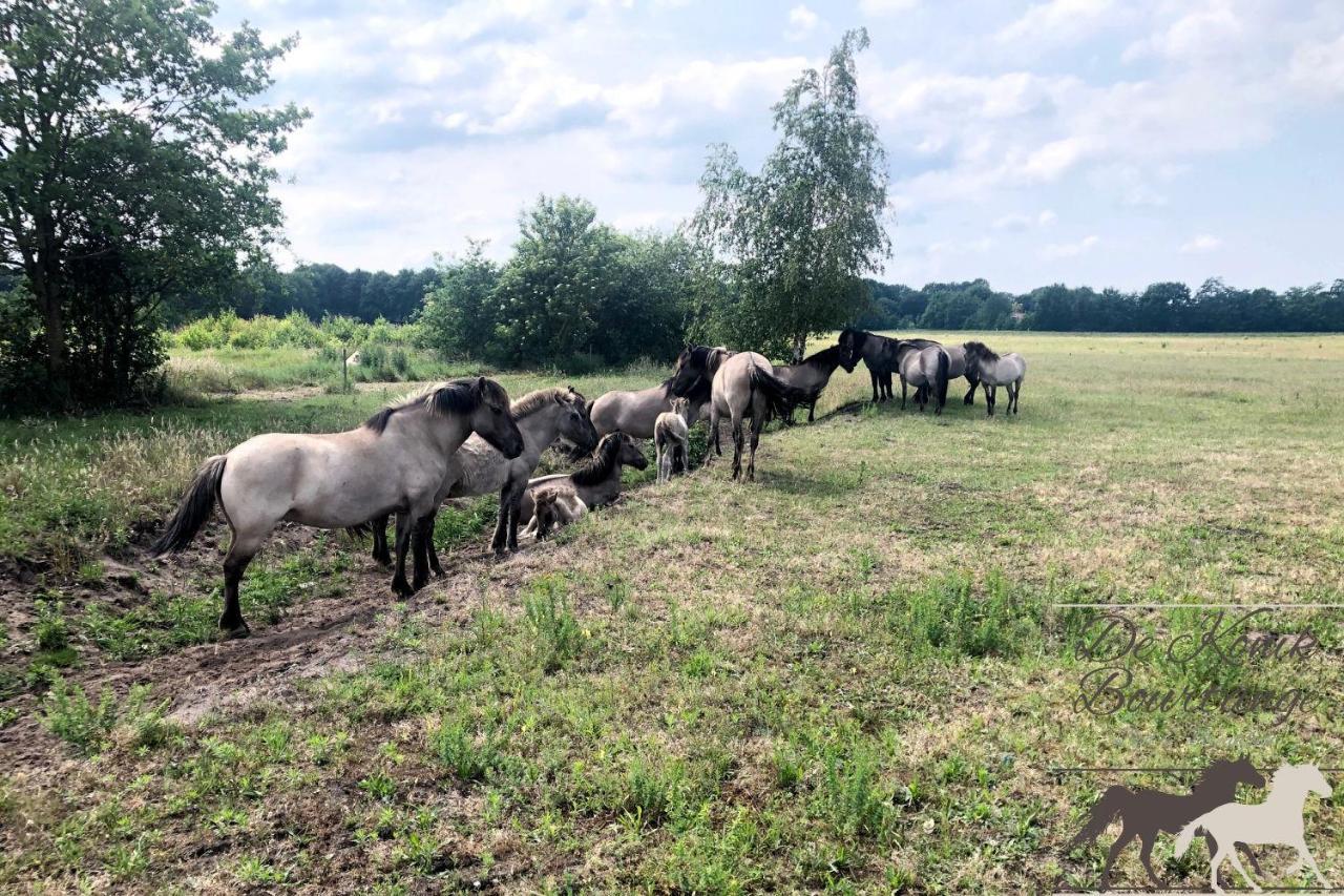 De Konik