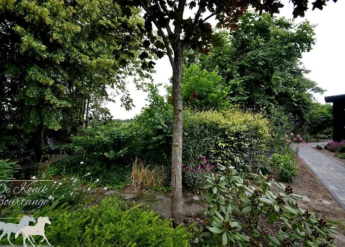 B&B De Konik Bourtange