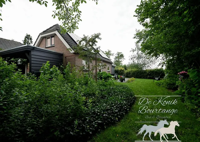 B&B De Konik Bourtange